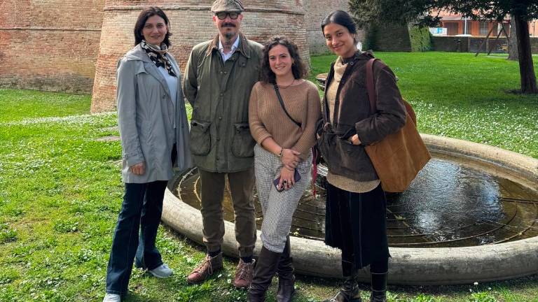 Bagnara, installazione nel prato per far cantare le rane e le sculture Bagnara, installazione nel prato per far cantare le rane e le sculture