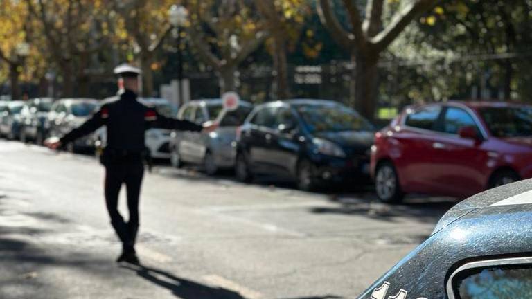 L’operazione è stata condotta dai carabinieri L’operazione è stata condotta dai carabinieri