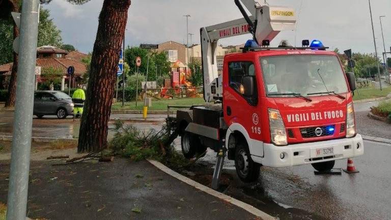 Forlì-Cesena, un centinaio di interventi per il maltempo da parte dei Vigili del Fuoco Forlì-Cesena, un centinaio di interventi per il maltempo da parte dei Vigili del Fuoco