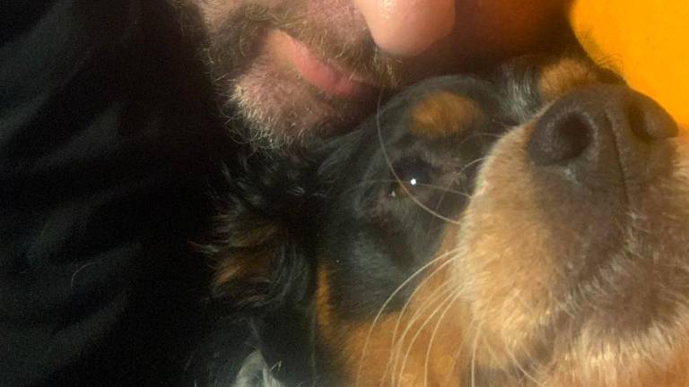 Rimini. Ricompensa da 10mila euro, la cagnolina Lola è tornata a casa. Rimini. Ricompensa da 10mila euro, la cagnolina Lola è tornata a casa.