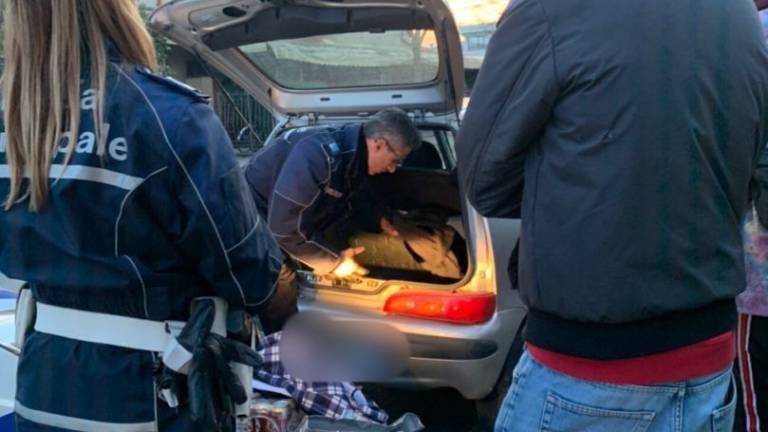 Avevano un bazar di droga ambulante, fermati a Savignano Avevano un bazar di droga ambulante, fermati a Savignano