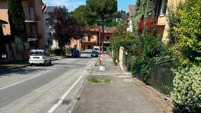 Cesena, lungo la via Mascagni sono comparse 23 poesie per chiedere di piantare nuovi alberi Cesena, lungo la via Mascagni sono comparse 23 poesie per chiedere di piantare nuovi alberi