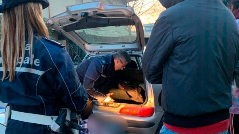 Savignano, sorpreso con le dosi di cocaina in auto: 32enne denunciato per spaccio Savignano, sorpreso con le dosi di cocaina in auto: 32enne denunciato per spaccio