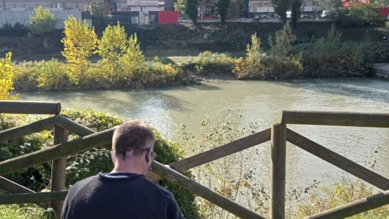 Imola, il tifoso arrivato da Londra solo per ascoltare le Formula 1 Imola, il tifoso arrivato da Londra solo per ascoltare le Formula 1