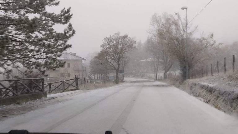 Ecco la neve in Romagna: fiocchi in Campigna e sul Monte Fumaiolo VIDEO Ecco la neve in Romagna: fiocchi in Campigna e sul Monte Fumaiolo VIDEO