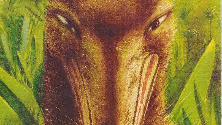 Ravenna. Sabato in Biblioteca Classense inaugura la mostra “C’era una volta... Favole e fiabe nelle raccolte classensi” Ravenna. Sabato in Biblioteca Classense inaugura la mostra “C’era una volta... Favole e fiabe nelle raccolte classensi”