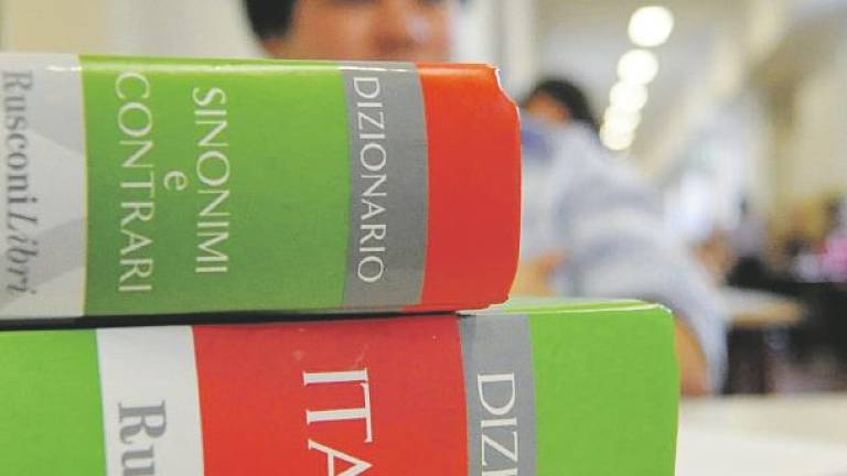 Ravenna. Mostra i genitali alla prof in classe: studente a processo per atti osceni Ravenna. Mostra i genitali alla prof in classe: studente a processo per atti osceni