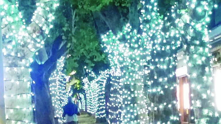 Bellaria, caccia ai vandali delle luminarie all'Isola dei Platani Bellaria, caccia ai vandali delle luminarie all'Isola dei Platani