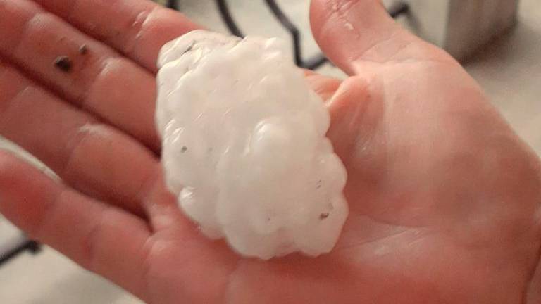 Minime tra 27 e 28 gradi, poi grandine come monete: conta dei danni nei campi Minime tra 27 e 28 gradi, poi grandine come monete: conta dei danni nei campi