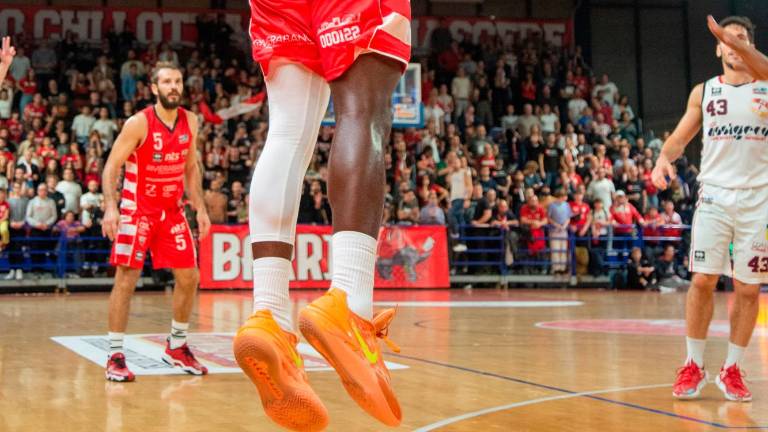 Basket A2, Dell’Agnello: “Rimini in netta crescita” - Gallery Basket A2, Dell’Agnello: “Rimini in netta crescita” - Gallery