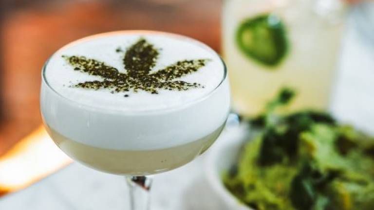 Predappio, infusi alla marijuana per calmare i genitori 90enni, arrestato Predappio, infusi alla marijuana per calmare i genitori 90enni, arrestato