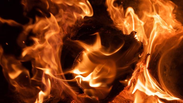 Ravenna, l'assessore Baroncini: Grazie a chi si è impegnato per spegnere l'incendio di Lido Adriano Ravenna, l'assessore Baroncini: Grazie a chi si è impegnato per spegnere l'incendio di Lido Adriano