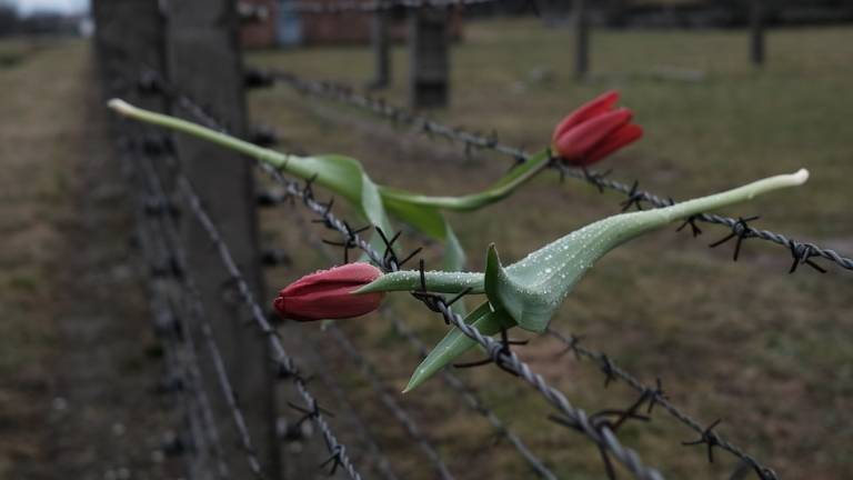 Rimini. Lunedì un seminario sui crimini in Italia durante la Shoah Rimini. Lunedì un seminario sui crimini in Italia durante la Shoah
