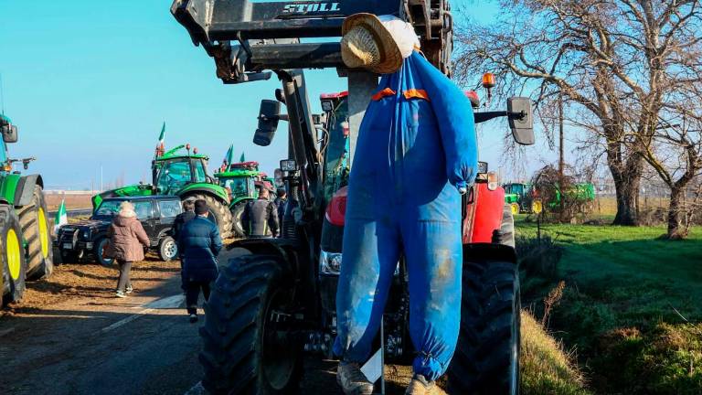 Continua la protesta degli agricoltori al casello autostradale di Castel San Pietro. Oggi non sono più i 200 del primo giorno, ma sono ancora parecchie decine e si stanno dando il cambio, mantenendo il presidio anche di notte. E’ stato così ieri e sarà così anche questa notte. L’autostrada al momento non è bloccata, certo la sfilata dei trattori non rende agevole l’ingresso e la percorrenza sulla provinciale San Carlo che immette al casello, sulla quale il traffico è costantemente rallentato. VIDEO E FOTO MMPH Continua la protesta degli agricoltori al casello autostradale di Castel San Pietro. Oggi non sono più i 200 del primo giorno, ma sono ancora parecchie decine e si stanno dando il cambio, mantenendo il presidio anche di notte. E’ stato così ieri e sarà così anche questa notte. L’autostrada al momento non è bloccata, certo la sfilata dei trattori non rende agevole l’ingresso e la percorrenza sulla provinciale San Carlo che immette al casello, sulla quale il traffico è costantemente rallentato. VIDEO E FOTO MMPH