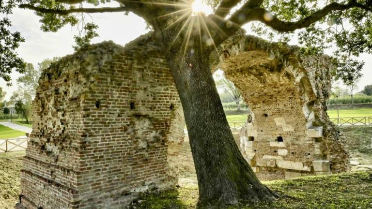Rimini, ponte di San Vito: una domenica dedicata all'area archeologica Rimini, ponte di San Vito: una domenica dedicata all'area archeologica