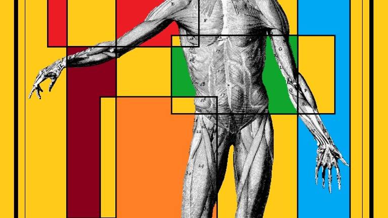 Da gennaio a settembre a Rimini il progetto di residenza artistica Anatomia Da gennaio a settembre a Rimini il progetto di residenza artistica Anatomia