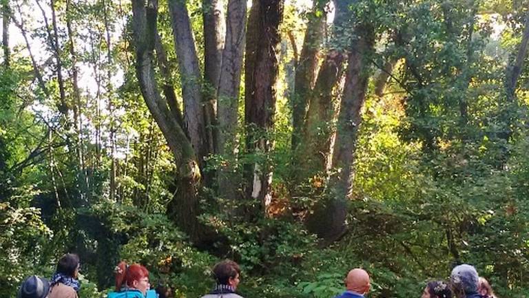 Bagnacavallo, riapre il Podere Pantaleone Bagnacavallo, riapre il Podere Pantaleone
