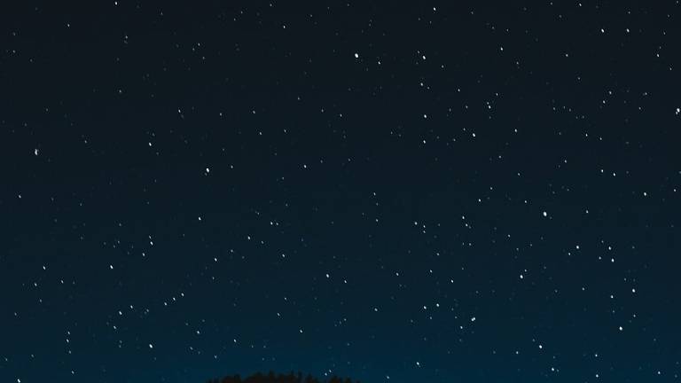 Savignano, una domenica ad ammirare le stelle al Parco Nenni Savignano, una domenica ad ammirare le stelle al Parco Nenni
