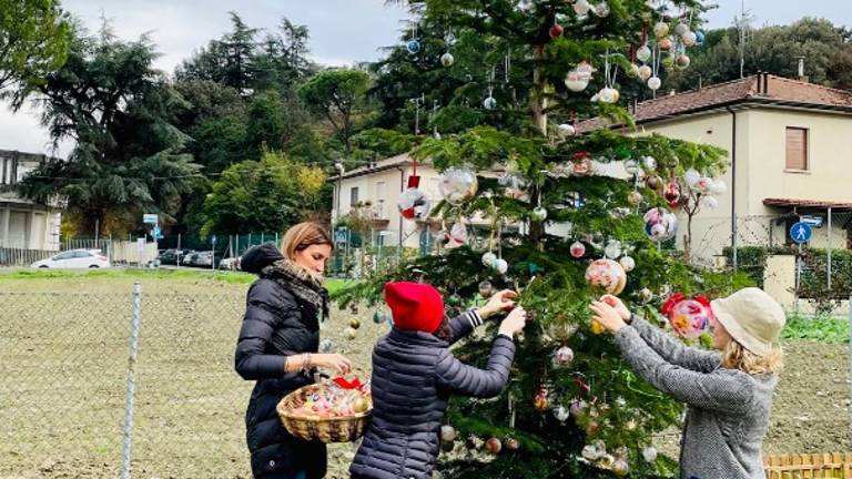 Cesena, martedì 7 dicembre via agli eventi di Natale del Sacro Cuore Cesena, martedì 7 dicembre via agli eventi di Natale del Sacro Cuore
