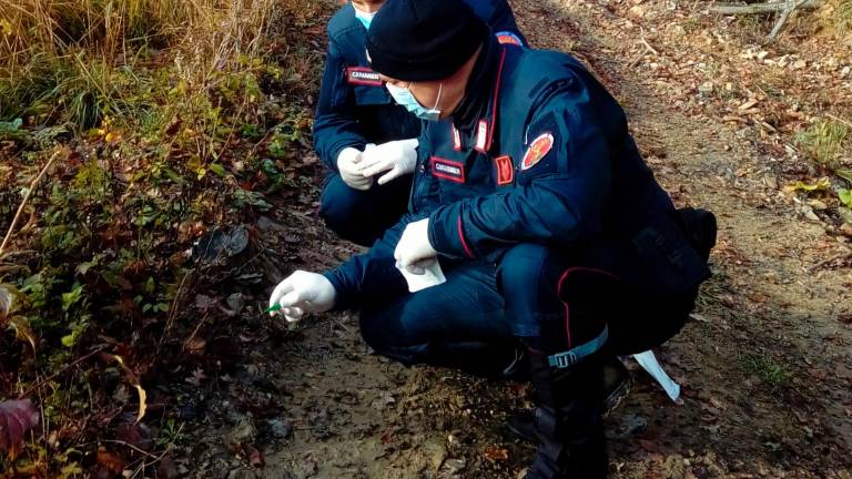 Emilia-Romagna, il bilancio dei Carabinieri Forestali: 665 persone denunciate in un anno Emilia-Romagna, il bilancio dei Carabinieri Forestali: 665 persone denunciate in un anno