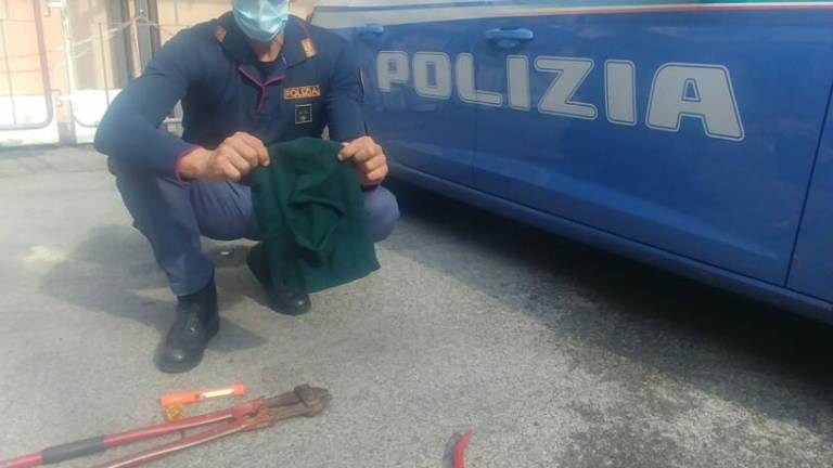Forlì, ladro bloccato durante il colpo Forlì, ladro bloccato durante il colpo