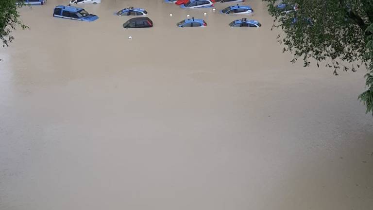Alluvione in Emilia-Romagna. Danneggiate 3.638 aziende del commercio e del turismo. In totale quasi 10mila Alluvione in Emilia-Romagna. Danneggiate 3.638 aziende del commercio e del turismo. In totale quasi 10mila