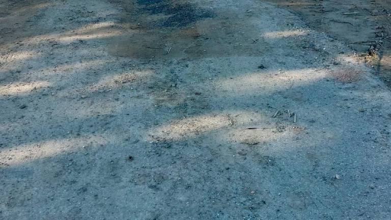 Lugo. La viabilità dopo l’alluvione, 32 interventi per 21 milioni di euro Lugo. La viabilità dopo l’alluvione, 32 interventi per 21 milioni di euro