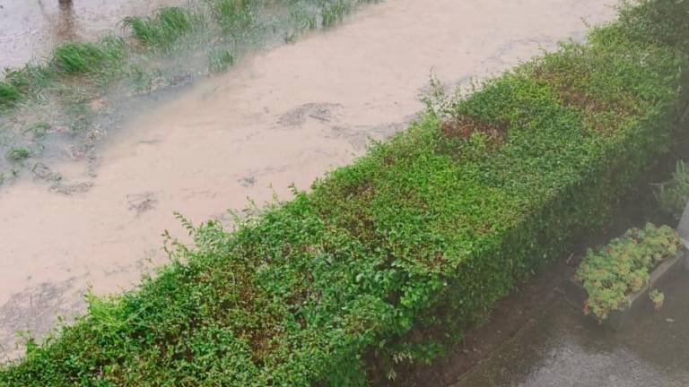 Pioggia forte e grandine, allagamenti nella zona fra Lugo e Imola VIDEO Pioggia forte e grandine, allagamenti nella zona fra Lugo e Imola VIDEO