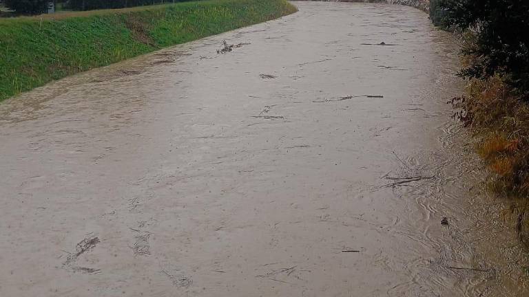 Cesenatico, il sindaco: “Torrente Pisciatello a 40 centimetri dall’esondazione, spostate le auto e non rimanete nelle cantine” Cesenatico, il sindaco: “Torrente Pisciatello a 40 centimetri dall’esondazione, spostate le auto e non rimanete nelle cantine”