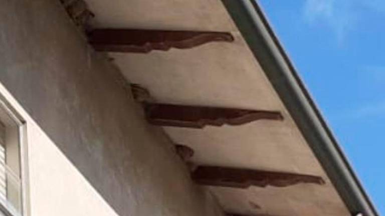 Da 40 anni in volo dal Sahara: le rondini hanno scelto una casa di Bellaria come nido Da 40 anni in volo dal Sahara: le rondini hanno scelto una casa di Bellaria come nido