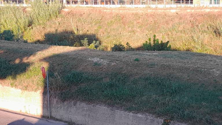 Il dislivello degli argini opposti visibile da via Cimatti Il dislivello degli argini opposti visibile da via Cimatti