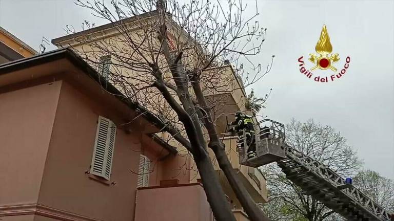 Maltempo, interventi dei Vigili del Fuoco a Rimini Maltempo, interventi dei Vigili del Fuoco a Rimini