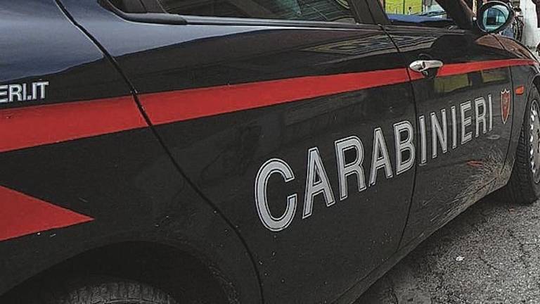 Furto in abitazione e resistenza. Arrestato un 44enne Furto in abitazione e resistenza. Arrestato un 44enne