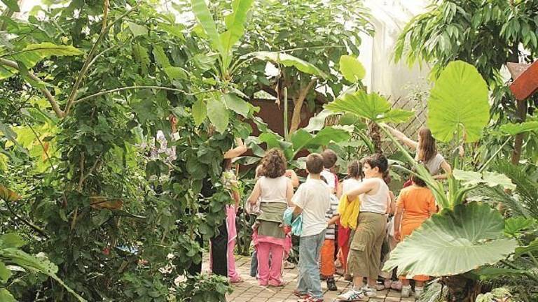 La Casa delle Farfalle di Cervia all’asta: valore 4,1 milioni in sei anni La Casa delle Farfalle di Cervia all’asta: valore 4,1 milioni in sei anni