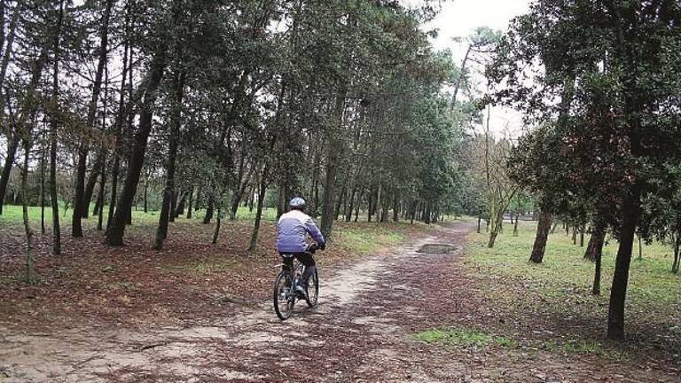 Accessi in bici e a cavallo nelle pinete di Ravenna, varate le nuove norme Accessi in bici e a cavallo nelle pinete di Ravenna, varate le nuove norme
