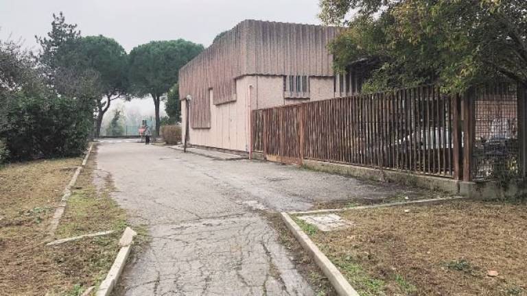 Gattara scaraventata a terra e presa a pugni a Savignano per la borsa Gattara scaraventata a terra e presa a pugni a Savignano per la borsa