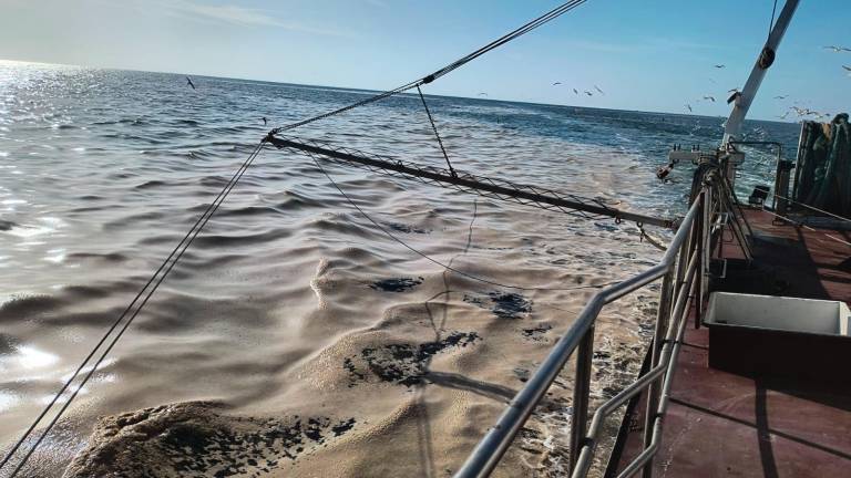 Le mucillagini lo scorso anno crearono grossi problemi ai pescatori Le mucillagini lo scorso anno crearono grossi problemi ai pescatori