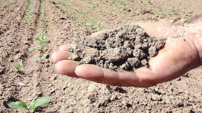 Coldiretti, Primavera tra siccità e rischio gelo: servono ventole anti-brina Coldiretti, Primavera tra siccità e rischio gelo: servono ventole anti-brina