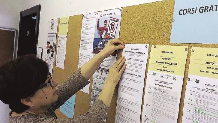 Reddito di cittadinanza, Rimini vara i Progetti utili per collettività Reddito di cittadinanza, Rimini vara i Progetti utili per collettività