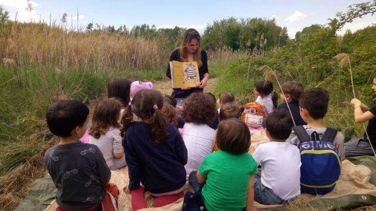 Forlimpopoli: un bosco da favola, sabato una passeggiata con letture allo Spinadello Forlimpopoli: un bosco da favola, sabato una passeggiata con letture allo Spinadello