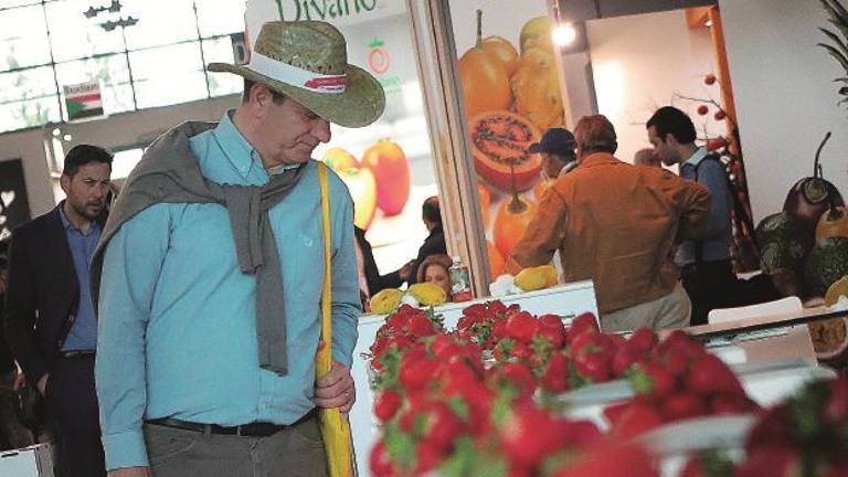 Macfrut alla conquista dell’Africa. Missioni all'estero per farci conoscere Macfrut alla conquista dell’Africa. Missioni all'estero per farci conoscere