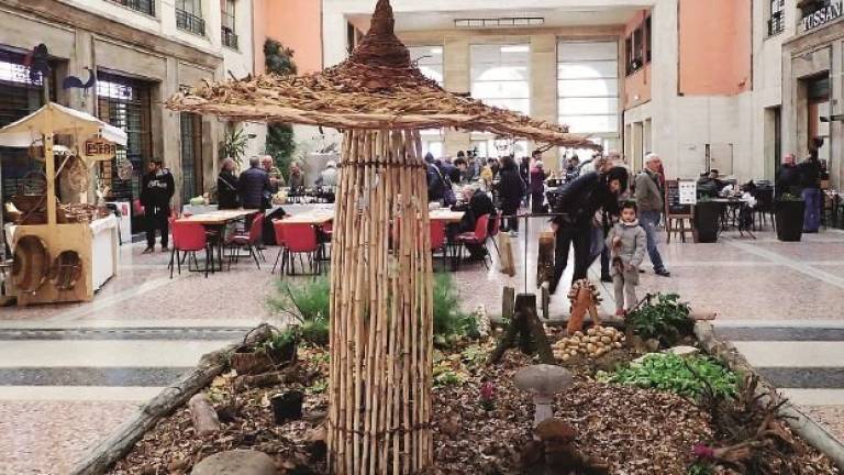 Il latte in primo piano per l'edizione 2018 del Baccanale Il latte in primo piano per l'edizione 2018 del Baccanale