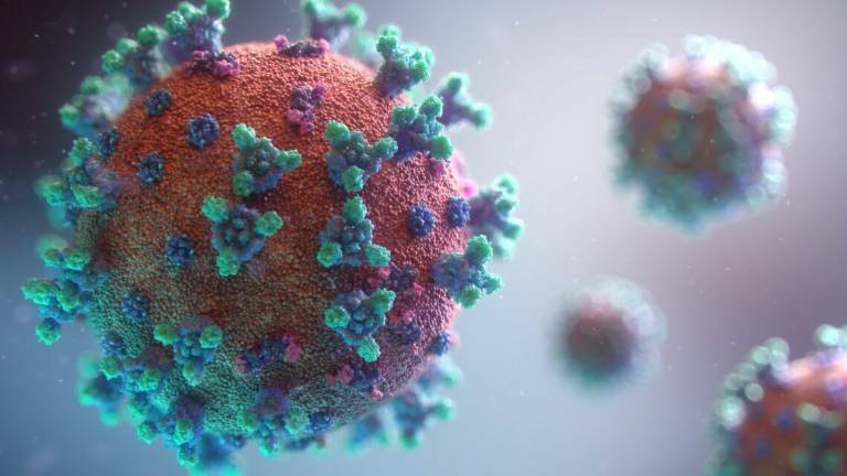 Coronavirus, nel Ravennate un altro morto. Nessun nuovo contagio Coronavirus, nel Ravennate un altro morto. Nessun nuovo contagio