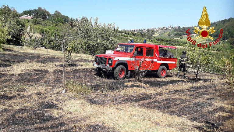 Longiano: a fuoco per due ore 3.200 metri di campo agricolo Longiano: a fuoco per due ore 3.200 metri di campo agricolo