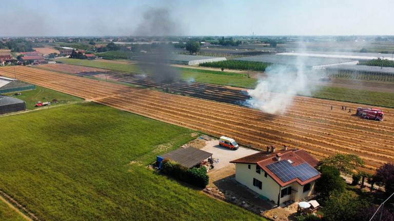 Il campo incenerito dall’incendio Il campo incenerito dall’incendio
