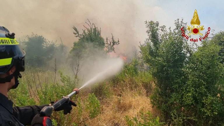 Forlì. A fuoco 4 ettari di campo con pannelli fotovoltaici Forlì. A fuoco 4 ettari di campo con pannelli fotovoltaici
