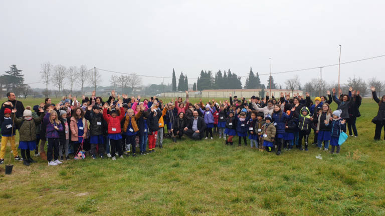 Cesena, nasce un boschetto accanto alla Fiera grazie a Natù Cesena, nasce un boschetto accanto alla Fiera grazie a Natù