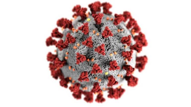 Coronavirus: 89enne di Cesena la vittima n° 48 tra gli infettati Coronavirus: 89enne di Cesena la vittima n° 48 tra gli infettati