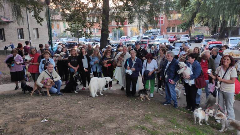 Imola. Benedizione degli animali, don Massimo: Portate gatti, cani, coniglietti, tartarughe, criceti e amici pennuti Imola. Benedizione degli animali, don Massimo: Portate gatti, cani, coniglietti, tartarughe, criceti e amici pennuti