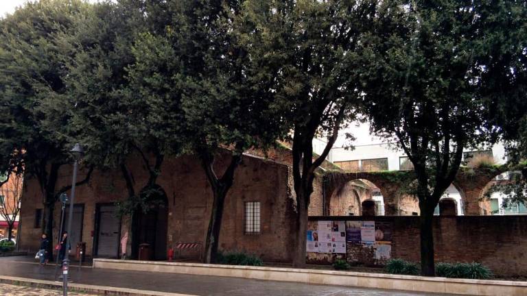Rimini. L’ex convento di San Francesco nel degrado. Renzi (FdI): “Ai consiglieri dico di fare un sopralluogo per salvare questo gioiello” Rimini. L’ex convento di San Francesco nel degrado. Renzi (FdI): “Ai consiglieri dico di fare un sopralluogo per salvare questo gioiello”